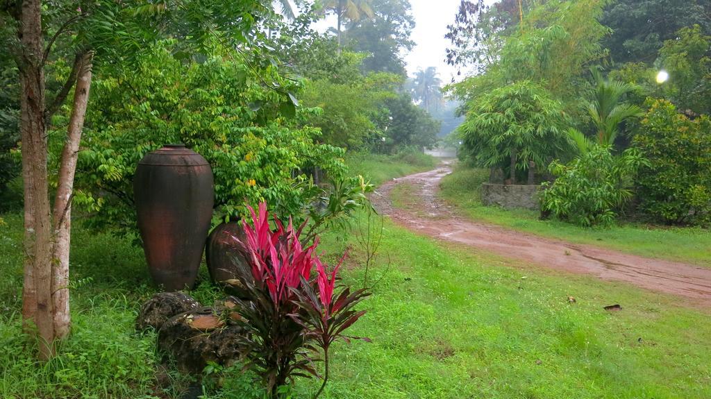 Clayfingers Art Cottage Thrissur Kamer foto