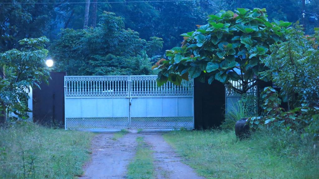 Clayfingers Art Cottage Thrissur Kamer foto