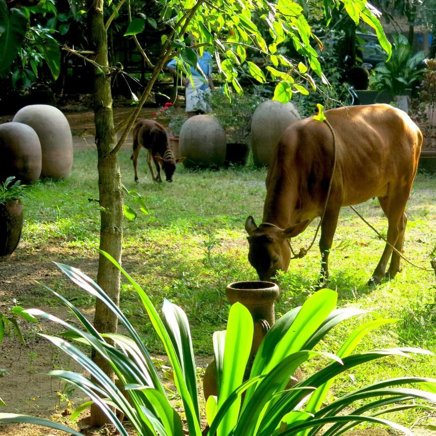 Clayfingers Art Cottage Thrissur Buitenkant foto