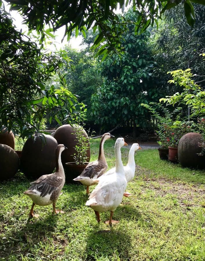 Clayfingers Art Cottage Thrissur Buitenkant foto